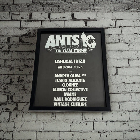 Ants ~ Genuine Ushuaia 10 Years Strong Anniversary Ibiza Framed Dj Artwork | Hi Ibiza | Luxury Black Frame
