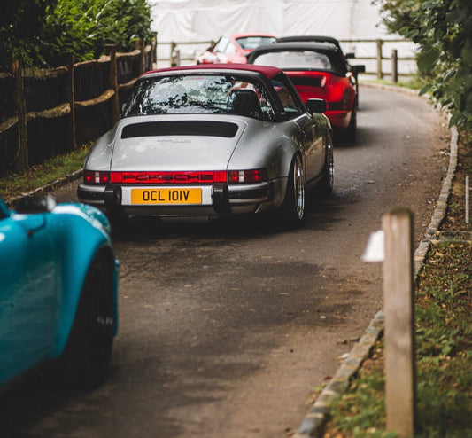 Our Holt mast lighting alongside the track, row of classic Porsche 911s