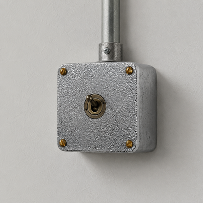 Single Gang 2 Way Surface Mounted Conduit Toggle Light Switch | Solid Cast Metal
