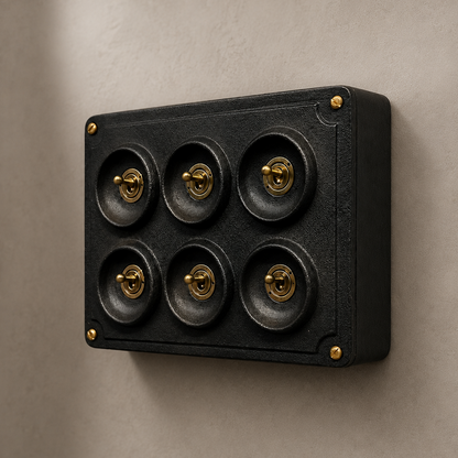 6 Gang 2 Way Matt Black Metal Toggle Light Switch | Surface Mounted Industrial Conduit