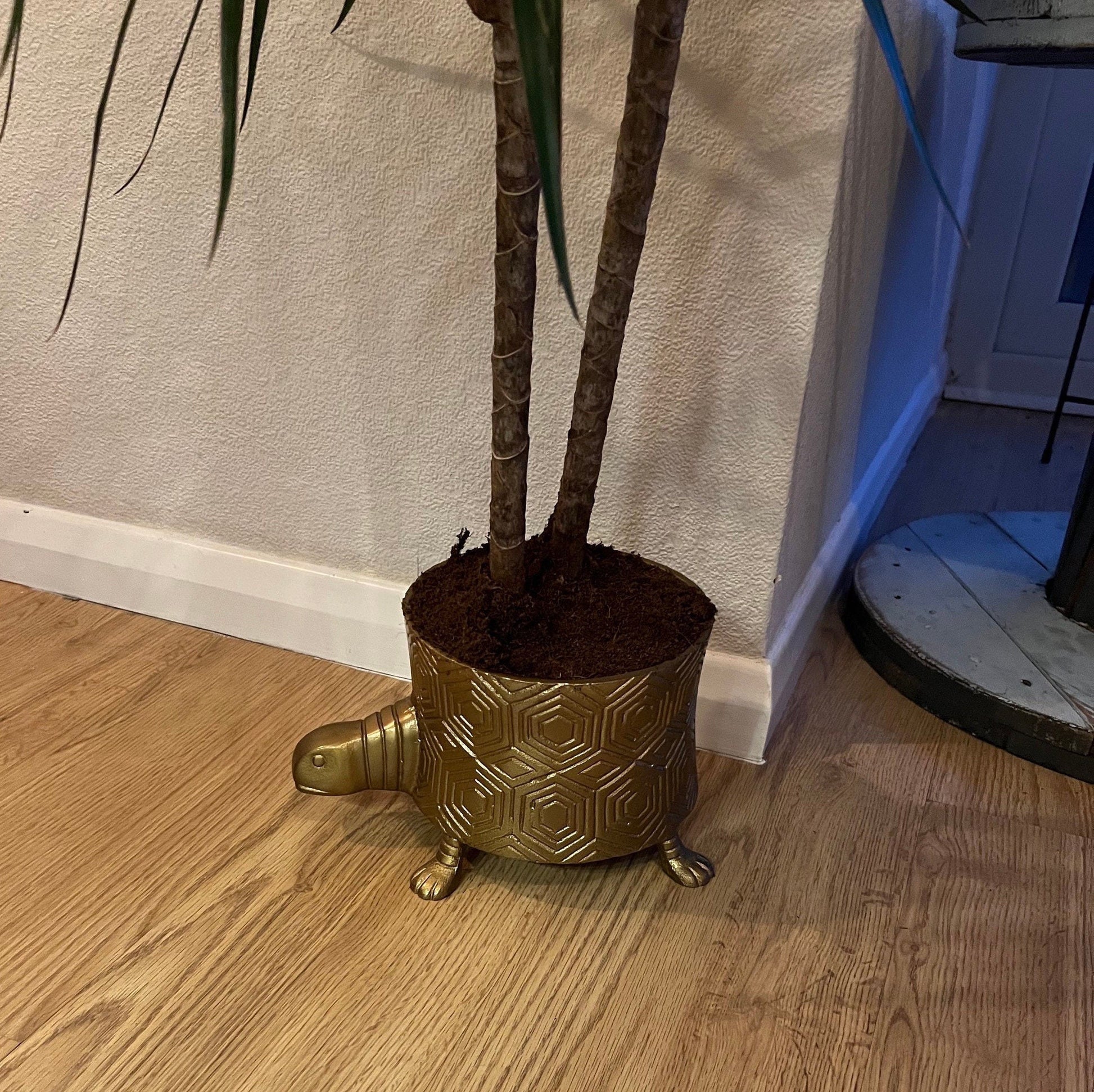 Turtoise Solid Cast Brass Metal Planter Pot