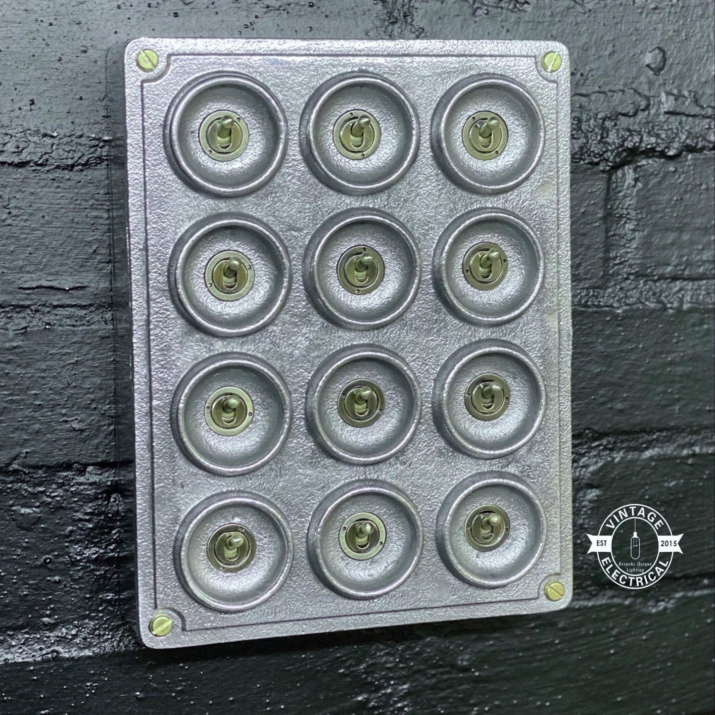 12 Gang 2 Way Galvanised Industrial Toggle Switch Light Panel