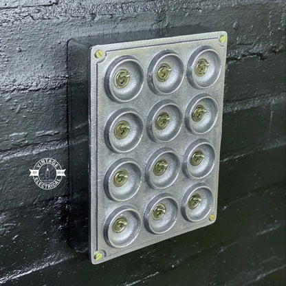 12 Gang 2 Way Galvanised Industrial Toggle Switch Light Panel