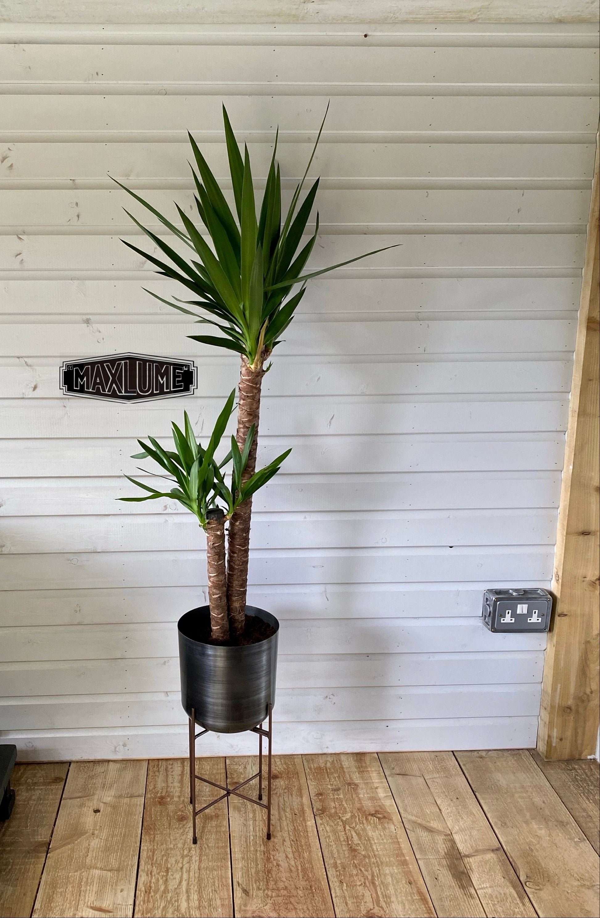 Maxlume ~ Pewter Grey Indoor Plant Pot & Stand Planter