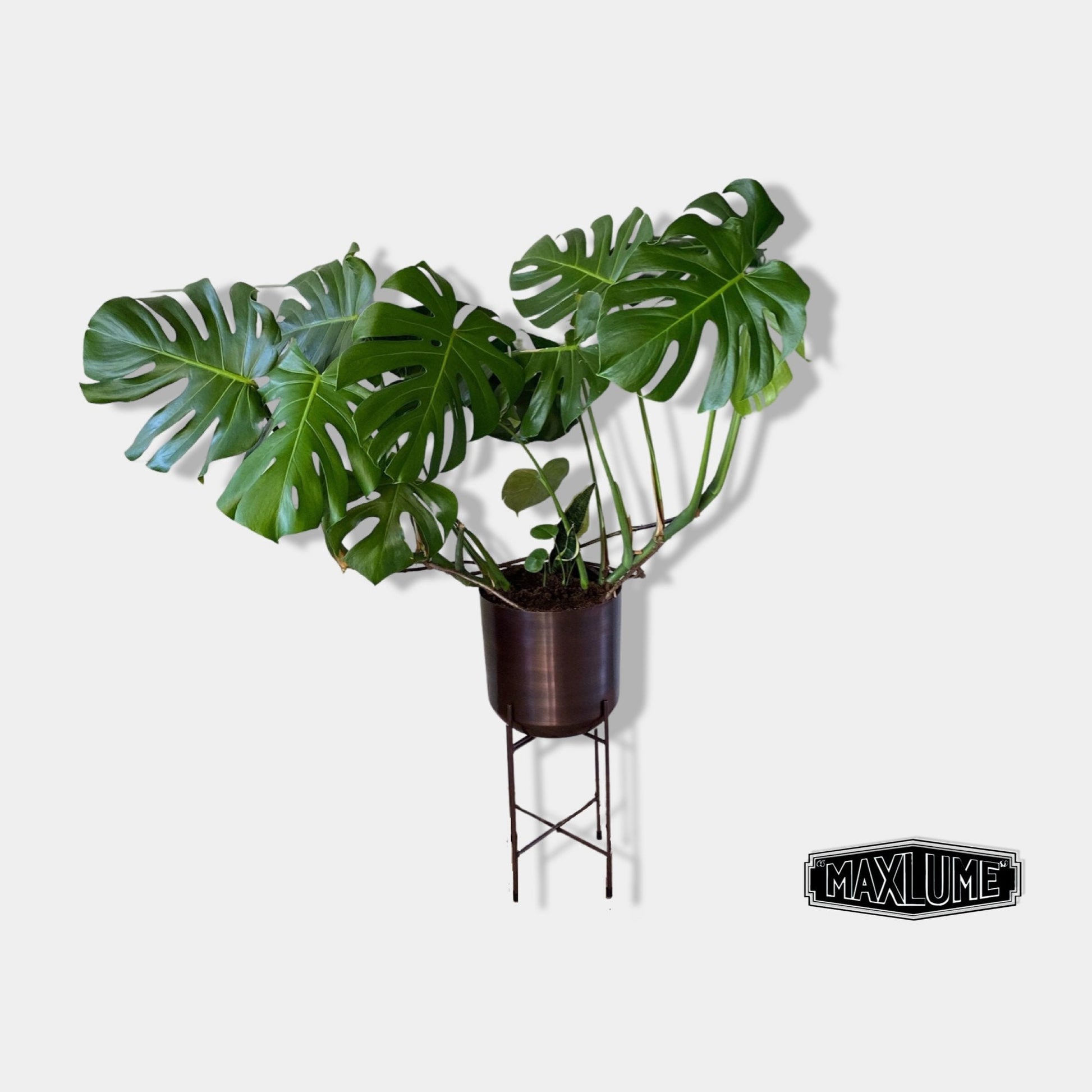 Maxlume ~ Antique Copper Indoor Plant Pot & Stand Planter