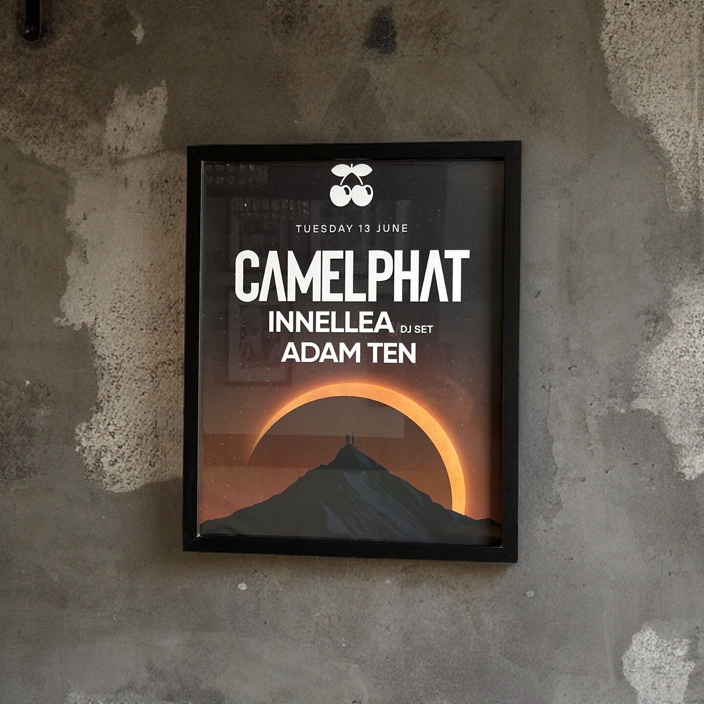 Camelphat ~ Genuine Pacha Ibiza Framed Dj Artwork | A3 Luxury Black Frame