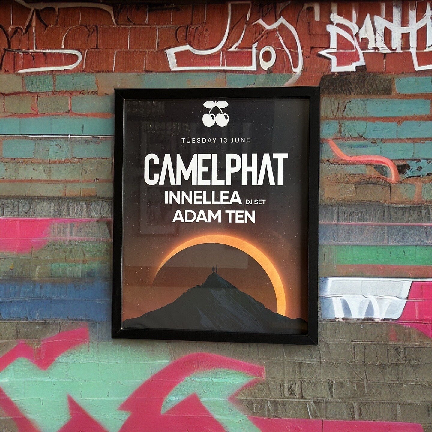 Camelphat ~ Genuine Pacha Ibiza Framed Dj Artwork | A3 Luxury Black Frame